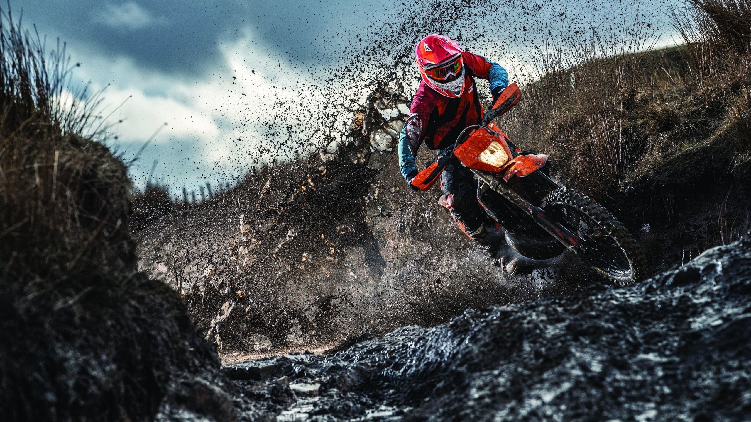 青少年体育赛事导师计划启动，名将助阵培养后备力量，青少年体能指导师