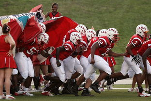 开云体育视频直播-中超球队备战训练强度升级，中超各队预备队大名单